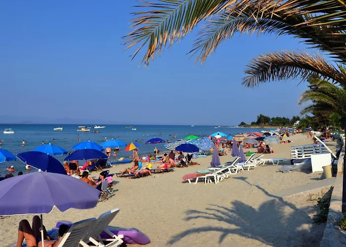 酒店 阳光酒店 波利克罗诺