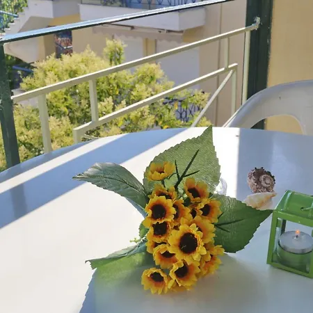 Sun بوليخرونو